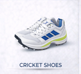 Cricket Shoes